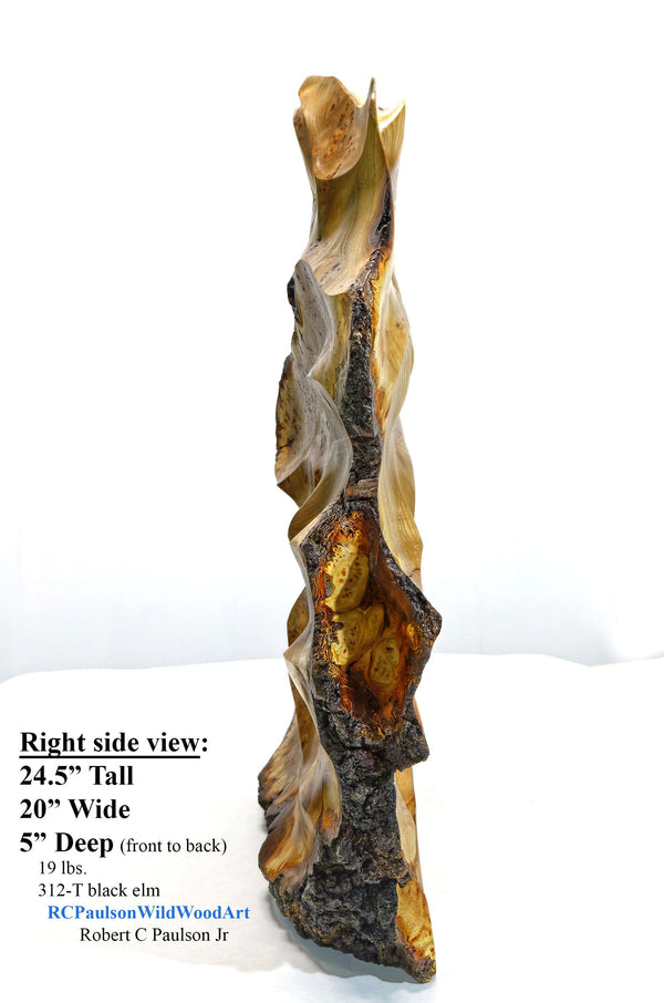 Colorful burl wood floor or tabletop sculpture, brown yellow maroon, live edge bark, 24.5 inch Tall x 5 D x 20 W, rich grain figuring, 312-T