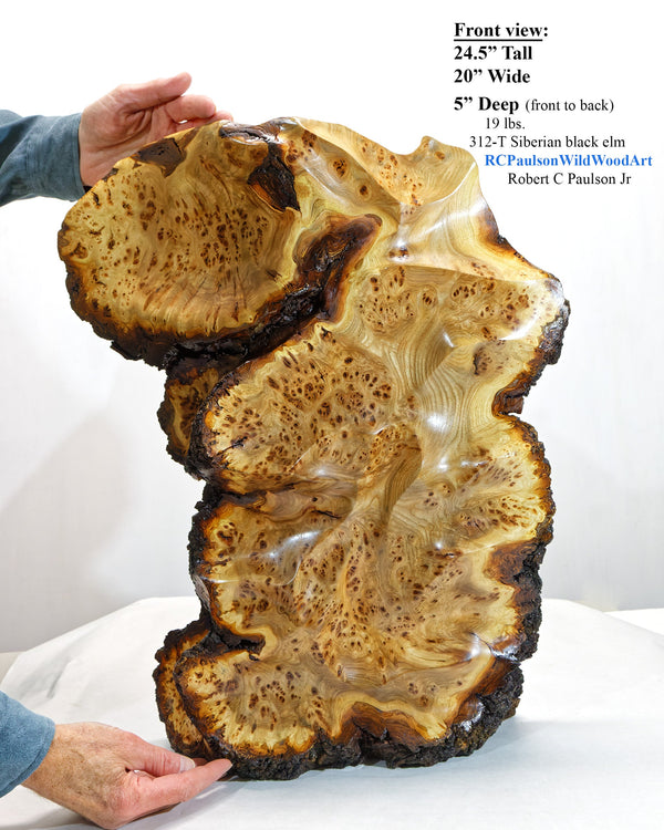 Colorful burl wood floor or tabletop sculpture, brown yellow maroon, live edge bark, 24.5 inch Tall x 5 D x 20 W, rich grain figuring, 312-T