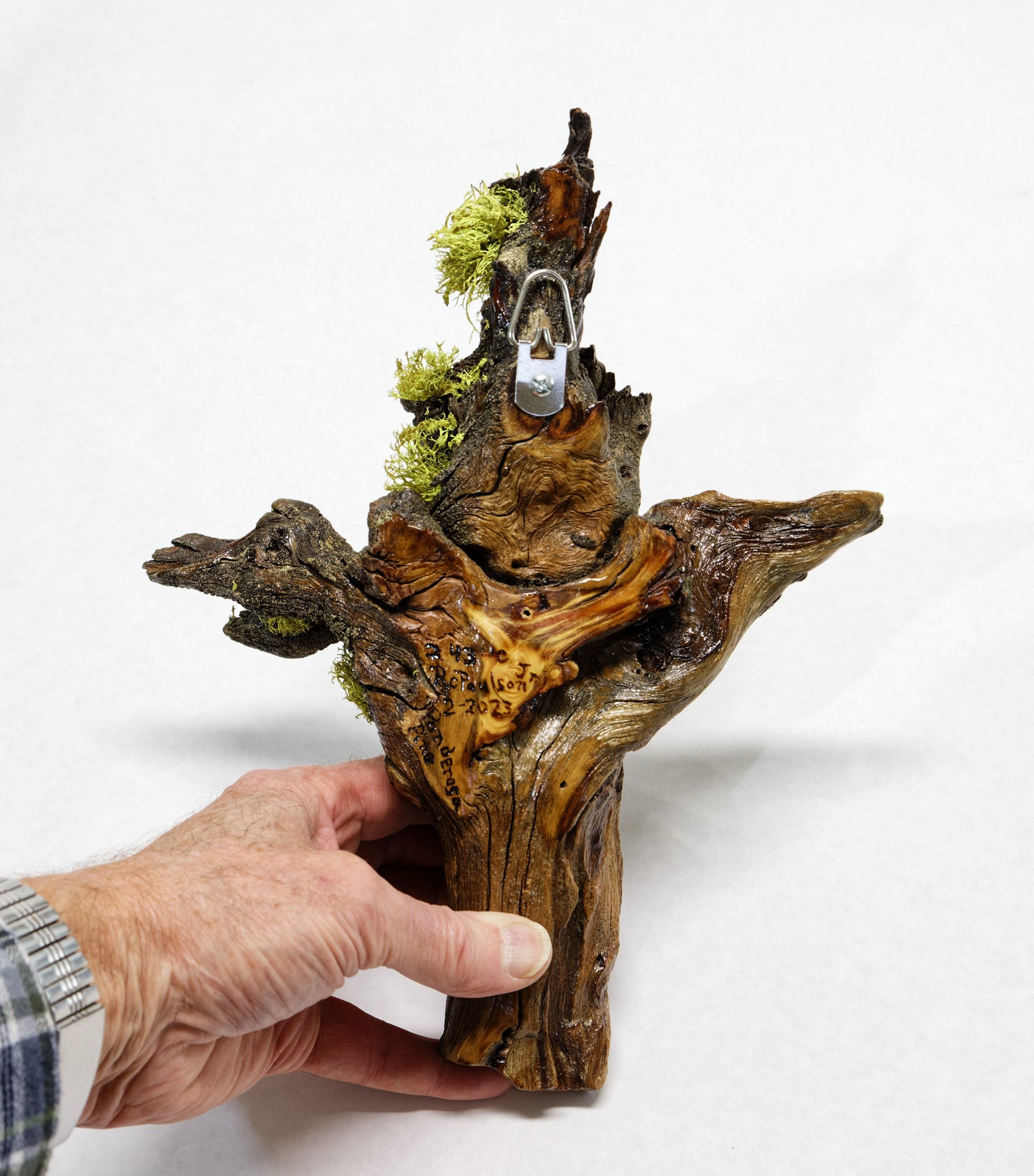 wall hanging Ponderosa pine with natural lichen 12 inches tall x 9 x 4.5'', 1# 6 oz, 243-C