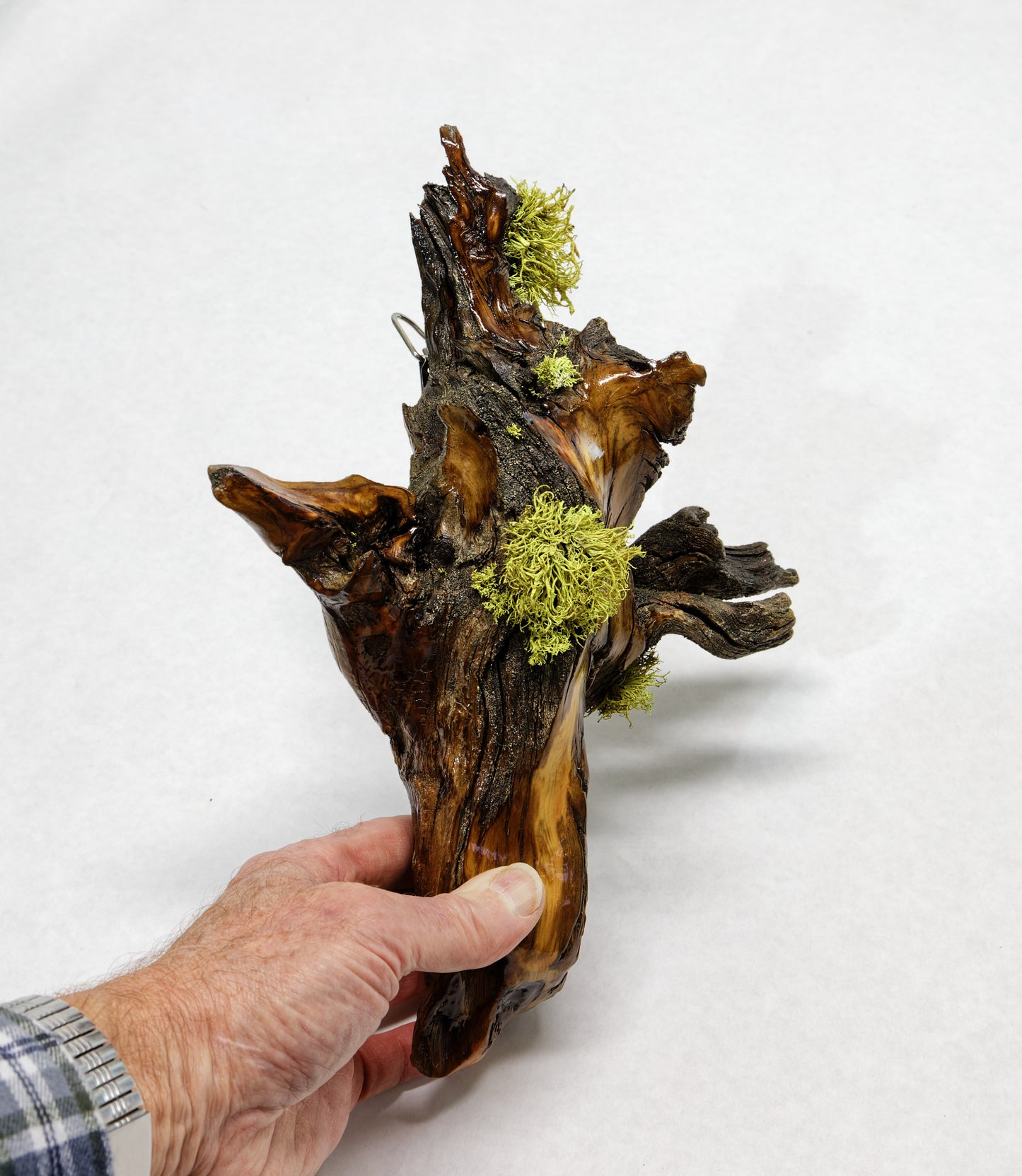 wall hanging Ponderosa pine with natural lichen 12 inches tall x 9 x 4.5'', 1# 6 oz, 243-C
