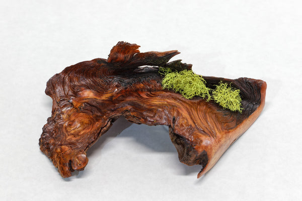 Rustic wood desktop sculpture, asymmetric Ponderosa pine tabletop mini sculpture, lichens, 2.38" tall x 8.2 long x 4,7 wide, Wabi Sabi, 394-A