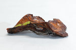 Rustic wood desktop sculpture, asymmetric Ponderosa pine tabletop mini sculpture, lichens, 2.38" tall x 8.2 long x 4,7 wide, Wabi Sabi, 394-A