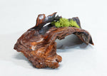 Rustic wood desktop sculpture, asymmetric Ponderosa pine tabletop mini sculpture, lichens, 2.38" tall x 8.2 long x 4,7 wide, Wabi Sabi, 394-A