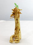 Twist roots bud vase, cedar root, 9.5 tall x 3.75 x 3.25'', 6.3 oz, Wabi Sabi Wasabi wabi-sabi one-of-a-kind, asymmetric, upcycled, 368-A