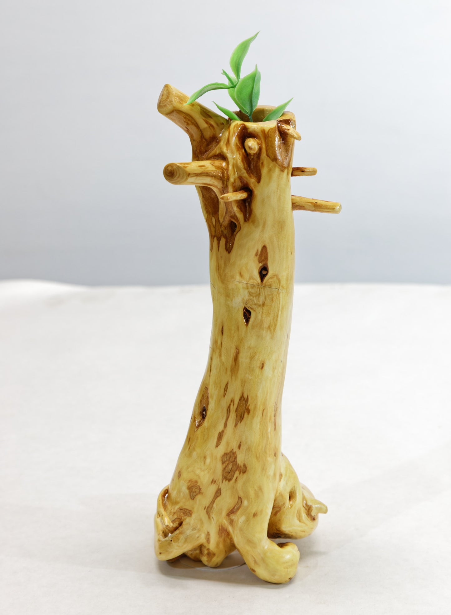 Twist roots bud vase, cedar root, 9.5 tall x 3.75 x 3.25'', 6.3 oz, Wabi Sabi Wasabi wabi-sabi one-of-a-kind, asymmetric, upcycled, 368-A