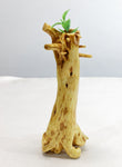 Twist roots bud vase, cedar root, 9.5 tall x 3.75 x 3.25'', 6.3 oz, Wabi Sabi Wasabi wabi-sabi one-of-a-kind, asymmetric, upcycled, 368-A