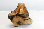 Rustic decorative wood bowl catchall tabletop sculpture, asymmetric decor, willow tree, live edge bark, 12" long x 10 x 8, Wabi Sabi, 432-A