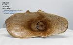 Wood bowl, large exotic bowl, walnut burl, figured fancy wood, designer bowl, best decor, curves, 8 inch tall, 10.5 wide, 25 long, 5 lbs, 9 oz, asymmetric