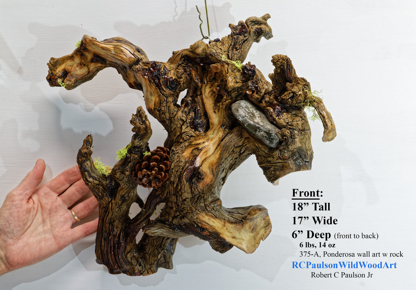 natural wood root wall hanging, twisted root, sculpture, rustic, 18 in tall x 17 x 6, 6 lb, 14 oz, upcycled, Wabi Sabi, wall art, 375-A