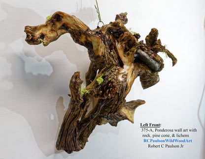 natural wood root wall hanging, twisted root, sculpture, rustic, 18 in tall x 17 x 6, 6 lb, 14 oz, upcycled, Wabi Sabi, wall art, 375-A