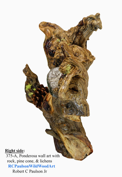 natural wood root wall hanging, twisted root, sculpture, rustic, 18 in tall x 17 x 6, 6 lb, 14 oz, upcycled, Wabi Sabi, wall art, 375-A