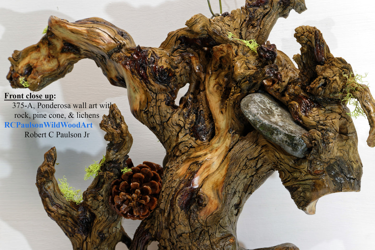 natural wood root wall hanging, twisted root, sculpture, rustic, 18 in tall x 17 x 6, 6 lb, 14 oz, upcycled, Wabi Sabi, wall art, 375-A