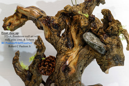 natural wood root wall hanging, twisted root, sculpture, rustic, 18 in tall x 17 x 6, 6 lb, 14 oz, upcycled, Wabi Sabi, wall art, 375-A