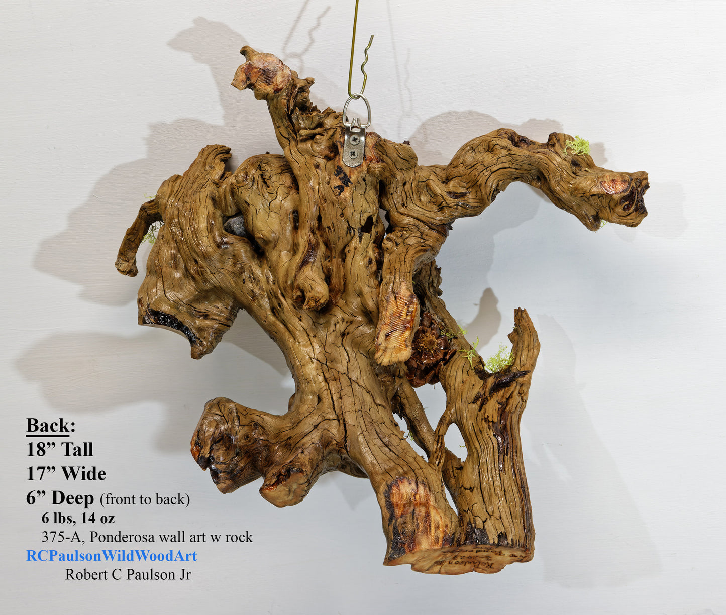 natural wood root wall hanging, twisted root, sculpture, rustic, 18 in tall x 17 x 6, 6 lb, 14 oz, upcycled, Wabi Sabi, wall art, 375-A