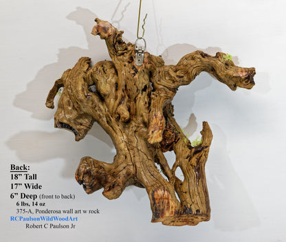 natural wood root wall hanging, twisted root, sculpture, rustic, 18 in tall x 17 x 6, 6 lb, 14 oz, upcycled, Wabi Sabi, wall art, 375-A