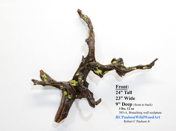 twisted tree root, wood wall hanging, natural sculpture, rustic sculpture, 24 in long x 23 x 9, 3 lbs, 12 oz, Wabi Sabi, wall art, 385-A