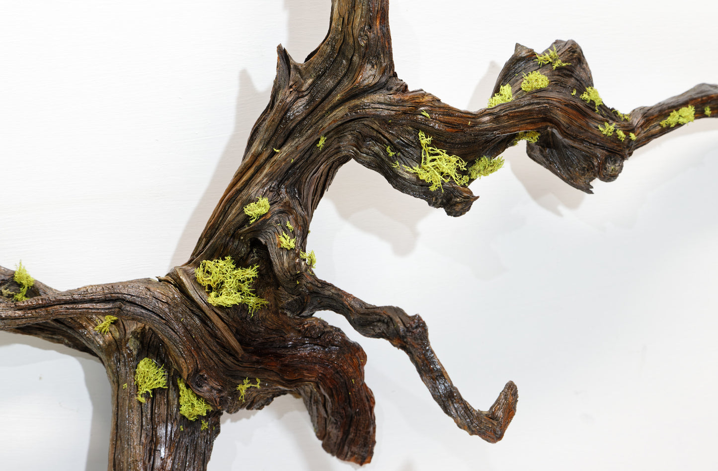 twisted tree root, wood wall hanging, natural sculpture, rustic sculpture, 24 in long x 23 x 9, 3 lbs, 12 oz, Wabi Sabi, wall art, 385-A