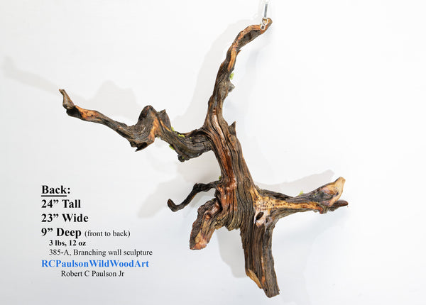 twisted tree root, wood wall hanging, natural sculpture, rustic sculpture, 24 in long x 23 x 9, 3 lbs, 12 oz, Wabi Sabi, wall art, 385-A