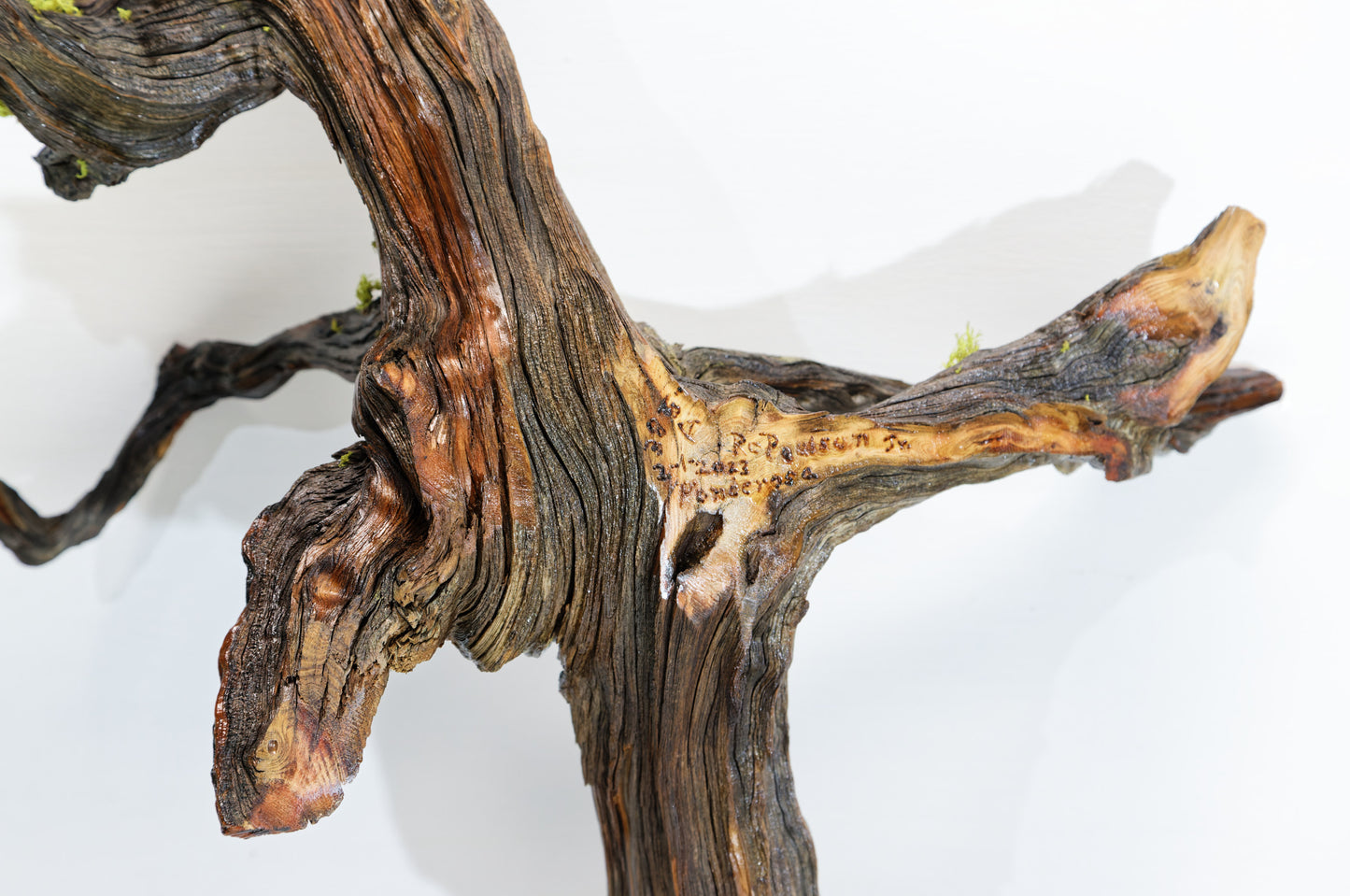 twisted tree root, wood wall hanging, natural sculpture, rustic sculpture, 24 in long x 23 x 9, 3 lbs, 12 oz, Wabi Sabi, wall art, 385-A