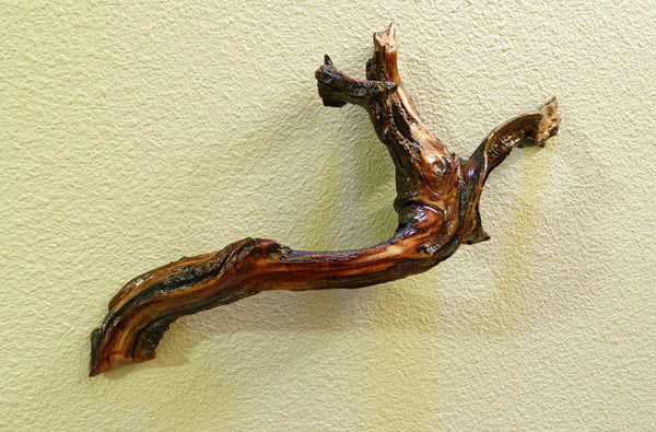 Decorative 3-D natural wood wall hanging, 24 inch x 12 x 6, asymmetric, one-of-a-kind sculptured wall decor, Ponderosa pine roots, 383-A