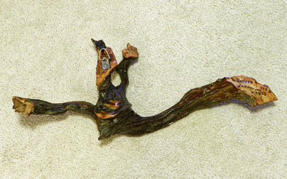 Decorative 3-D natural wood wall hanging, 24 inch x 12 x 6, asymmetric, one-of-a-kind sculptured wall decor, Ponderosa pine roots, 383-A