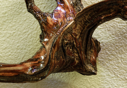 Decorative 3-D natural wood wall hanging, 24 inch x 12 x 6, asymmetric, one-of-a-kind sculptured wall decor, Ponderosa pine roots, 383-A