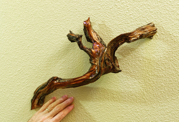 Decorative 3-D natural wood wall hanging, 24 inch x 12 x 6, asymmetric, one-of-a-kind sculptured wall decor, Ponderosa pine roots, 383-A