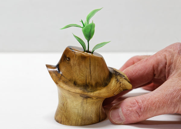 unique wood bud vase, tabletop sculpture, one-of-a-kind, 3 in. tall x 3.5 x 2.5, 4.4 oz, hole 2.5 deep x 0.8, upcycled, Wabi Sabi, 999-D