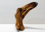 Arched bud vase, Ponderosa pine, rustic smooth arced, brown, tapered, asymmetric, decorative wood, 9 inches tall x 8 x 4.75, Wabi Sabi, 999-E