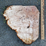 Burl bowl wood sculpture, outstanding grain patterns, brown yellow tan black, 6" x 9" x 8'', 1 lb., 14 oz, rich figuring, 100% unique, 360-B