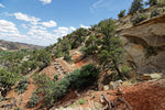 Scenic view of a rocky landscape with juniper trees and cliffs under a blue sky.