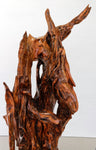 gorgeous floor & tabletop wood root sculpture, one-of-a-kind freeform wooden sculpture, 35 Tall x 17 x 14", 18 lbs, upcycled, Wabi Sabi, 332-A