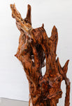 gorgeous floor & tabletop wood root sculpture, one-of-a-kind freeform wooden sculpture, 35 Tall x 17 x 14", 18 lbs, upcycled, Wabi Sabi, 332-A