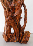 gorgeous floor & tabletop wood root sculpture, one-of-a-kind freeform wooden sculpture, 35 Tall x 17 x 14", 18 lbs, upcycled, Wabi Sabi, 332-A