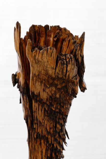 unique wood vase or tabletop sculpture, one-of-a-kind, freeform sculpture, 17 inches tall x 7 x 5, 4 lbs, upcycled, Wabi Sabi, wooden, 243-F