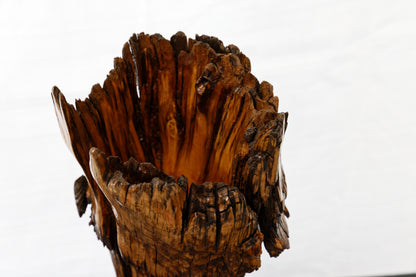 unique wood vase or tabletop sculpture, one-of-a-kind, freeform sculpture, 17 inches tall x 7 x 5, 4 lbs, upcycled, Wabi Sabi, wooden, 243-F