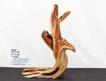 Manzanita wood tabletop sculpture, twisted root sculpture, irregular live edge sculpture, 20.5 inches Tall x 17 x 7, one of a kind, 457-A