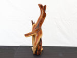 Manzanita wood tabletop sculpture, twisted root sculpture, irregular live edge sculpture, 20.5 inches Tall x 17 x 7, one of a kind, 457-A
