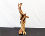 Manzanita wood tabletop sculpture, twisted root sculpture, irregular live edge sculpture, 20.5 inches Tall x 17 x 7, one of a kind, 457-A