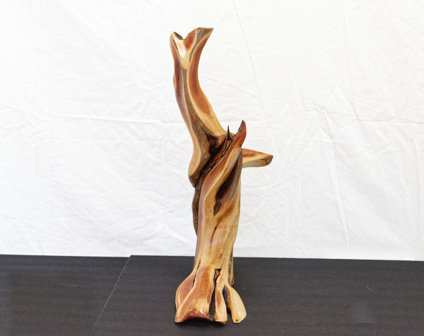 Manzanita wood tabletop sculpture, twisted root sculpture, irregular live edge sculpture, 20.5 inches Tall x 17 x 7, one of a kind, 457-A
