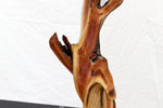 Manzanita wood tabletop sculpture, twisted root sculpture, irregular live edge sculpture, 20.5 inches Tall x 17 x 7, one of a kind, 457-A