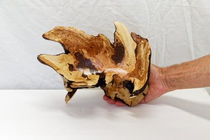 Huckleberry bowl, irregular wooden bowl, live edge, rustic catchall, 6.75 in Tall x 12 x 9, one of a kind, asymmetric, upcycled, 468-B