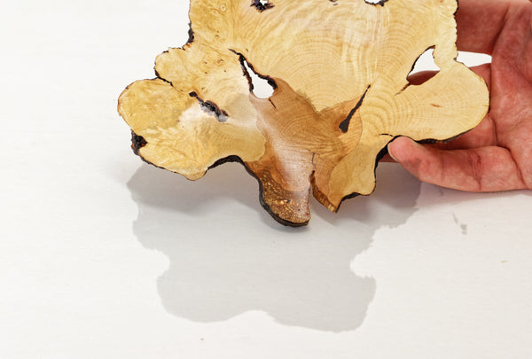 Huckleberry bowl, irregular wood bowl, live edge, catchall, rustic catchall, 1 inch Tall x 6.5 x 5, 2 oz , one of a kind, asymmetric, 468-C