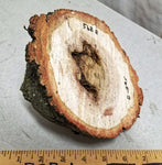 rustic red oak wood bowl, live edge, beautiful grain, reddish orange, brown, 7.75 inches long x 3.25 tall x 5.85’’, 0.95 lb, Wabi Sabi, 568-S