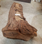 Black walnut live edge Wabi Sabi wood bowl sculpture 19" long x 4.75 tall, brown, intricate colorful grain patterns, 143-ZZ