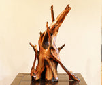 Ponderosa pine conjoined root tabletop sculpture, 28 inches tall, 336-A