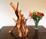 Ponderosa pine conjoined root tabletop sculpture, 28 inches tall, 336-A