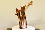 Irregular tabletop desktop wood sculpture, colorful grain, exotic graceful lines, crafted from fallen old growth juniper tree, 480-A