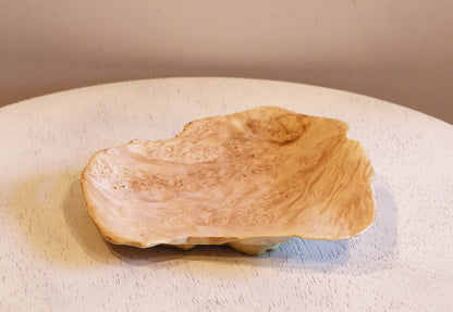 Maple 7.5" x 7.25" x 1.3" catchall irregular shape from fallen dead old growth tree, recycled, hold rings, wallet, miscellaneous, 469-D