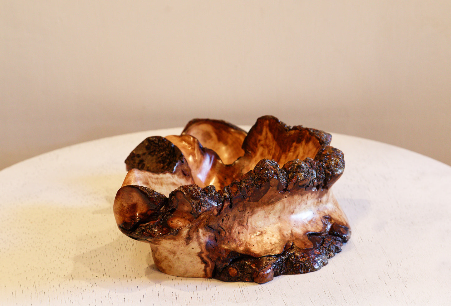 two-part Waxmyrtle wood bowl, catchall jewelry, live edge, beautiful grain, reddish orange, black brown, 10.5 x 7.5 x 3" tall, 2-part, 552-A2